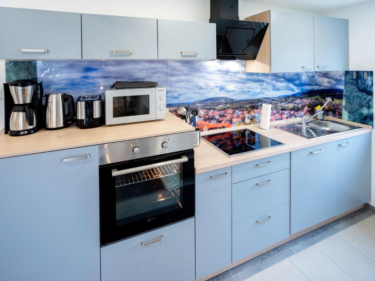 Haus Der Elemente Apartment Гослар Екстериор снимка